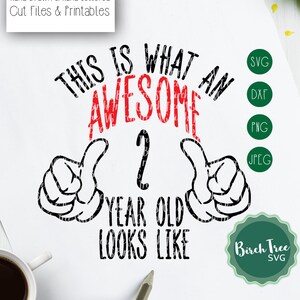 This is what an Awesome 2 Year old looks like SVG, 2nd Birthday Svg, 2 Birthday Svg Cutting Files for Cricut Silhouette Svg Dxf Png Jpeg