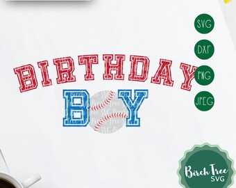 Birthday Boy Baseball Svg, Baseball Birthday Svg, Birthday Party Svg, Baseball Birthday Shirt Svg Cut File for Cricut Silhouette Cut Files