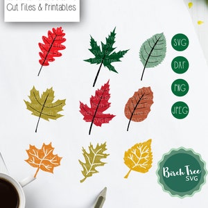 Hojas Svg, Hojas de Otoño svg, Otoño svg, Otoño Svg, Archivo de Corte de Hoja, Hojas de Otoño Svg Archivos de Corte, Cricut, Hoja Clipart, Svg Dxf Png Jpeg