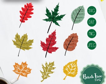 Svg Leaves, Fall Leaves svg, Fall svg, Autumn Svg, Leaf cut file, Autumn Leaves Svg Cutting Files, Cricut, Leaf clipart, Svg Dxf Png Jpeg