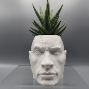 Dwayne Johnson Succulent Planter - The Rock Planter