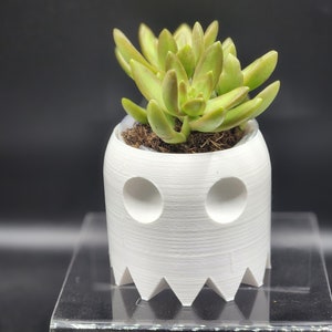 May include: A white ghost-shaped planter with two round holes for eyes and a jagged bottom edge. A small green succulent plant is growing in the planter.