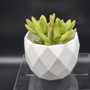 Polygon Planter Minimalist