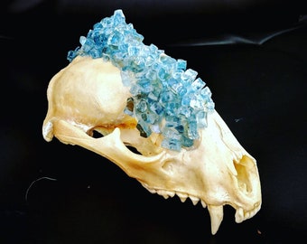 crystallized skull etsy