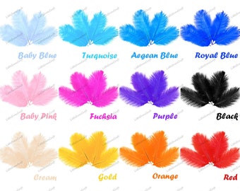 Ostrich Feather Plumes, Fluffy Craft Feathers, Party Costume Décor (5-10pcs)