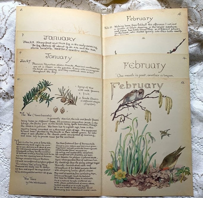 Edith Holden Vintage March Pages Country Diary of an Edwardian Lady Nature Ephemera Scrapbooking Junk Journalling Birds Eggs Flowers