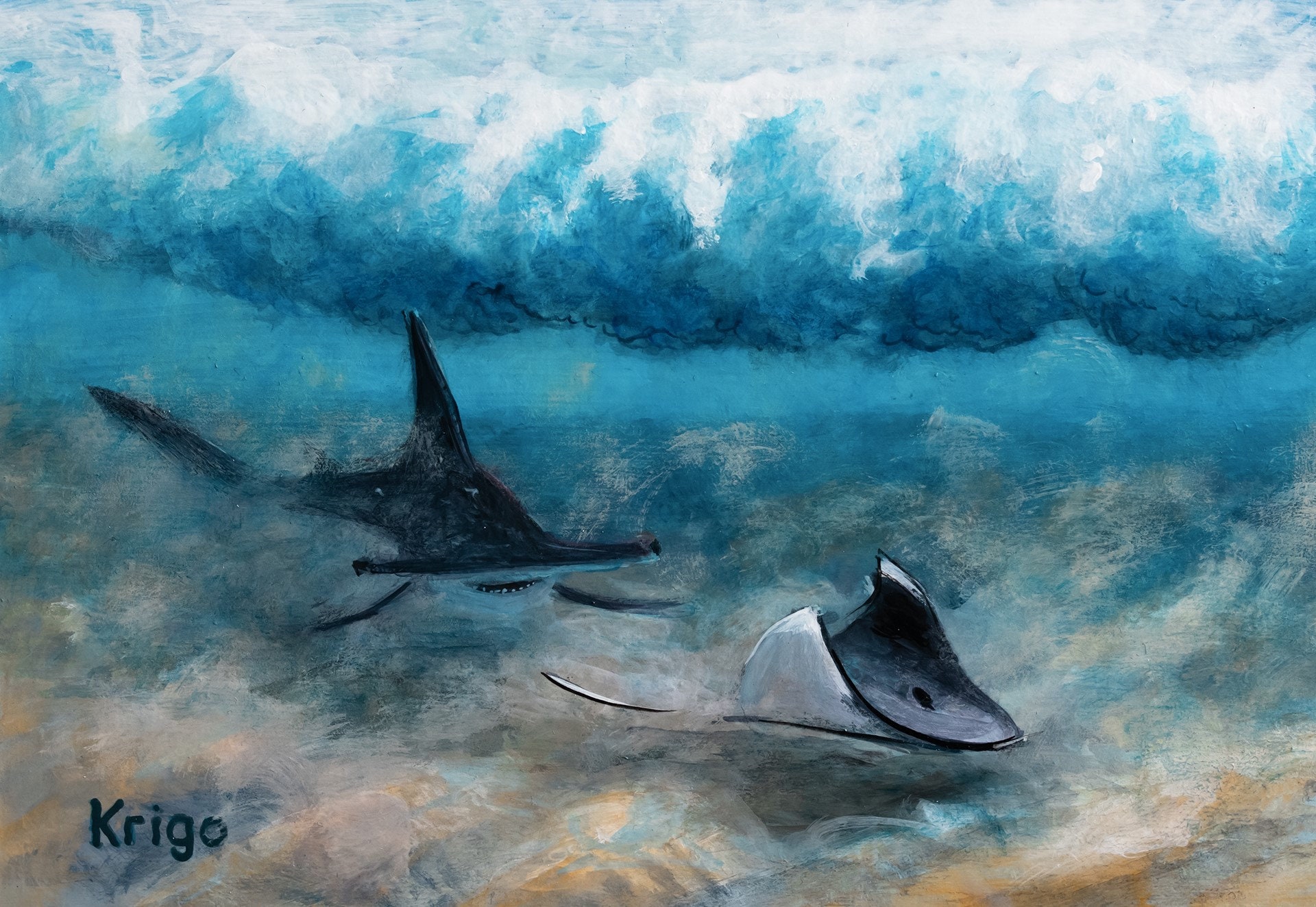 Hammerhead Shark Shark Rays Stingrays Sea Surf Etsy