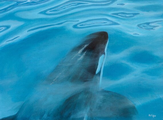 Orca Orca Killer Whale Painting Acrylic 56 X 42 Cm Turquoise Etsy