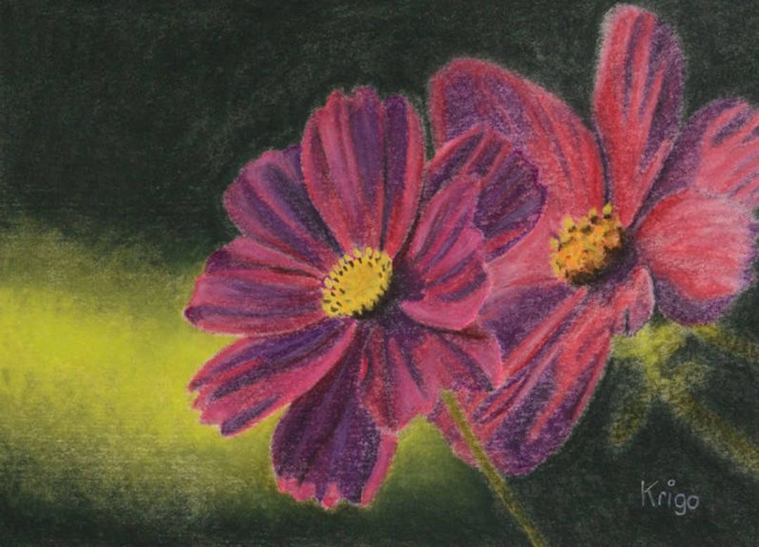Cosmea flor flor pintura tiza pastel 13 x 18 cm pintura - Etsy España