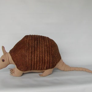 Armadillo Animal Pattern - Paper Copy