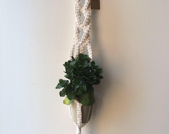 Planter / macrame plant hanger / succulent hanger / plants