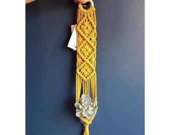 Macrame plant hanger / plant hanger / succulent plant hanger