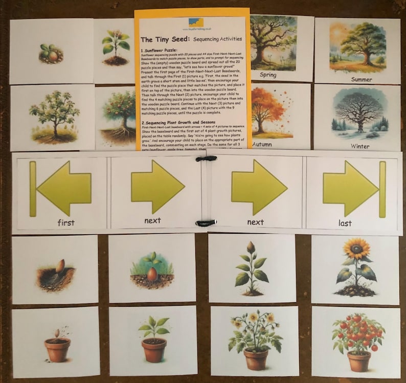 The Tiny Seed Story Sequencing With How? and Why? Questions Bumper Pack ...