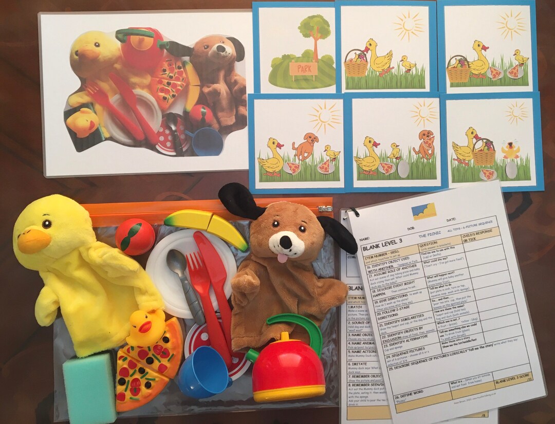 Blank Levels Screen the Picnic - Etsy