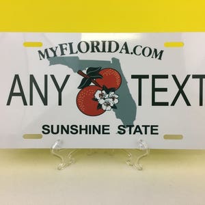 Personalized Florida License Plate, Sunshine State Florida License Plate, 4 Sizes image 2