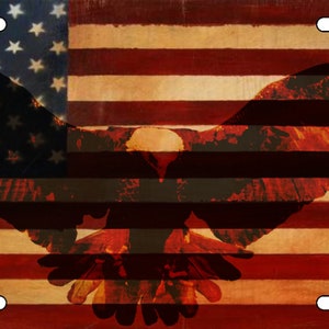 Rustic License Plate - American Flag with Bald Eagle License Plate  Free Shipping Patriotic Flag Make America Great