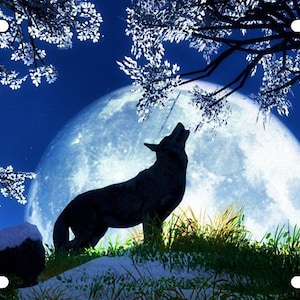 WOLF AND MOON Vanity License Plate Howling #2 Wild Animals Nature