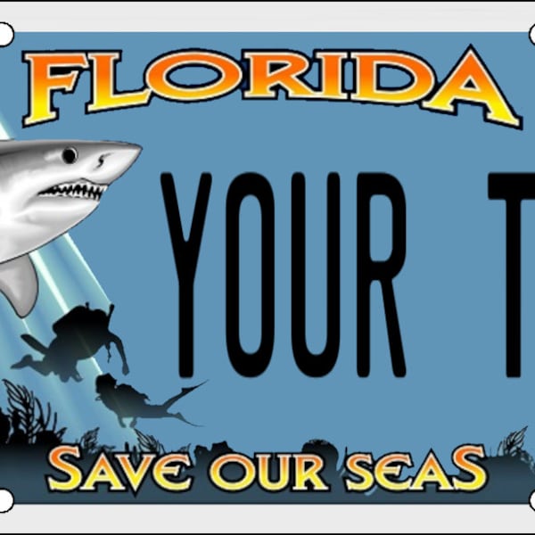 Florida Custom License Plate Endless Summer Etsy