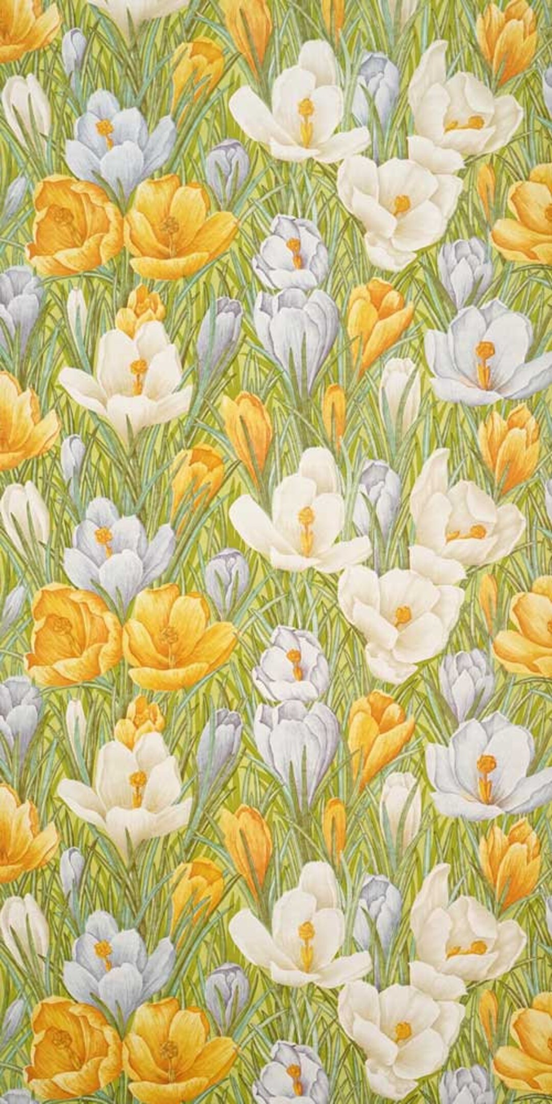 70s Flower Power Wallpapers  Top Free 70s Flower Power Backgrounds   WallpaperAccess