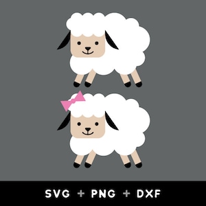 May include: Two cartoon sheep, one with a pink bow, against a gray background. The sheep are white with black eyes and noses.