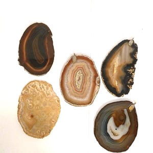 May include: Five agate slices with different patterns and colors. The slices are brown, white, and black with a natural, polished finish.