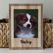see more listings in the Pet Gifts section