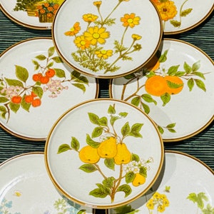 Pick Your Own Mismatched Dinner Plate Set From Mikasa Natural Beauty Patterns Sold Individually