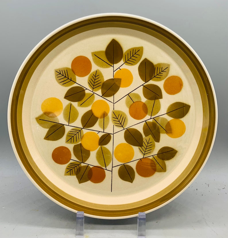 Mismatched Set of 5 Vintage Dinner Plates/ Mixed 70s Etsy