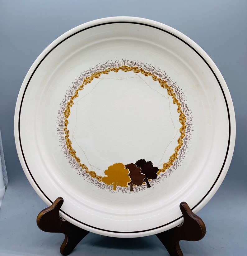 Mismatched Set of 5 Vintage Chop Plates/ Extra Large Dinner Etsy