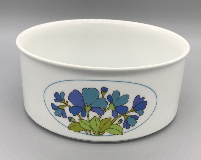 Spring Porcelain Dinnerware From Thomas Germany Division Of Etsy