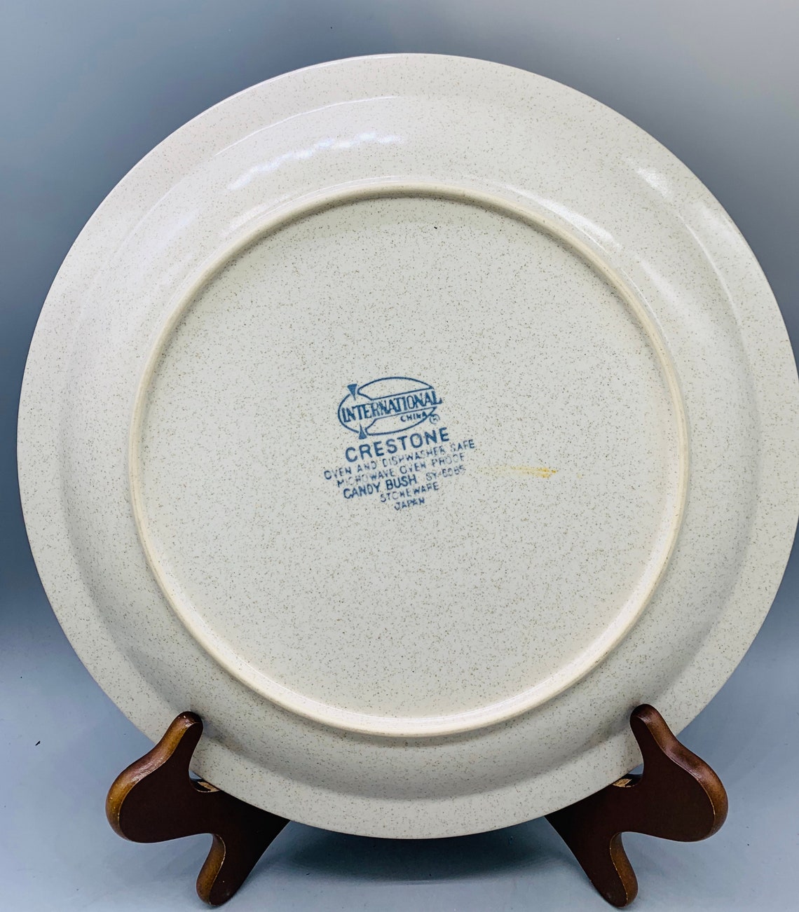 Set of 4 Mismatched Extra Large Dinner Plates or Chop Plates Etsy