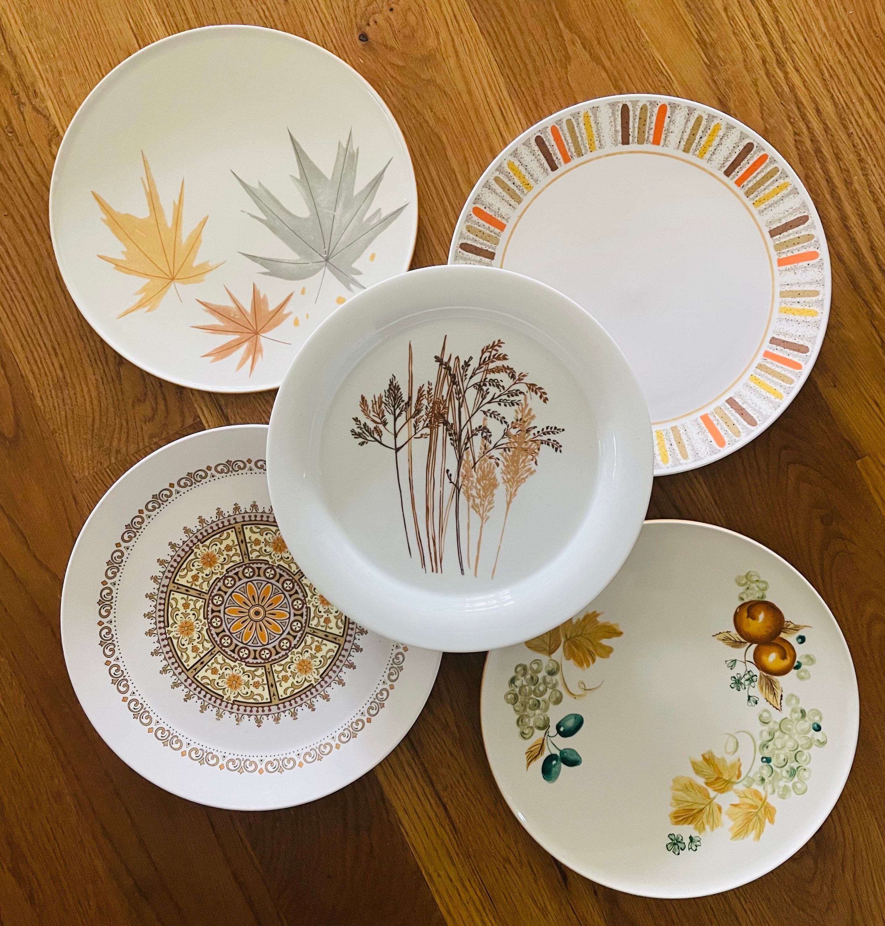 Mismatched Set of 5 Vintage Dinner Plates
