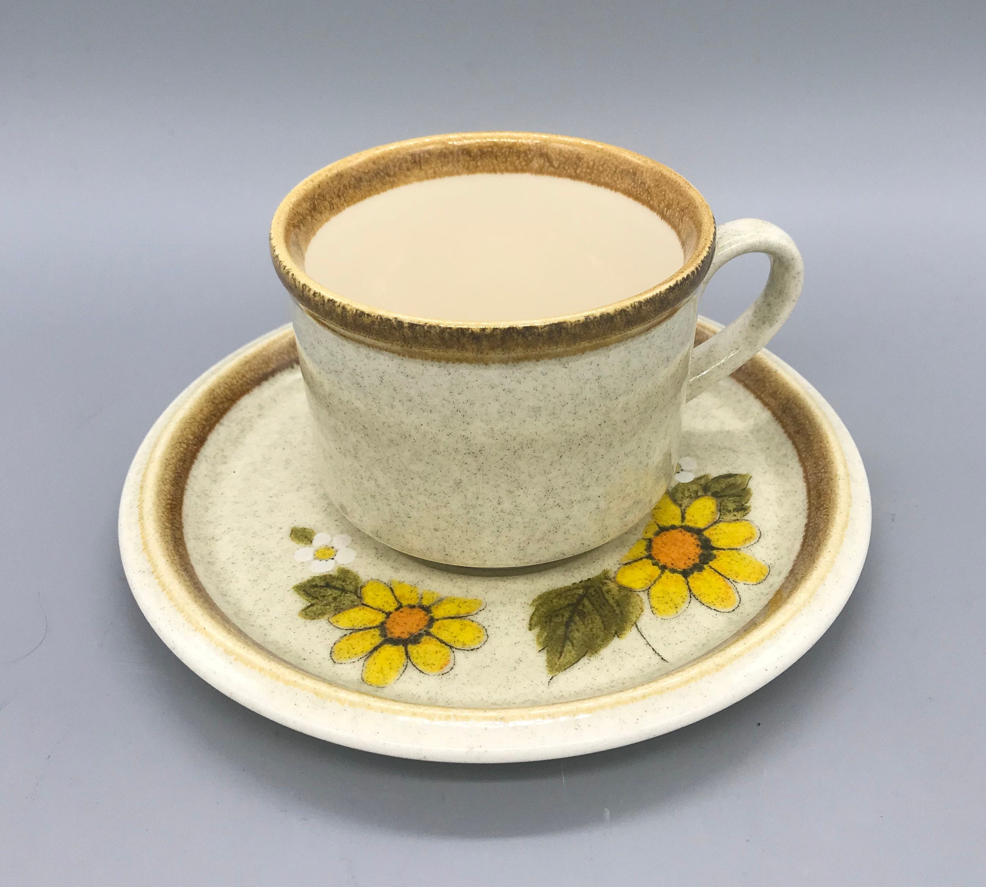 Mikasa Stone Manor Sun Circles Coffee Mugs & Saucers — RetroModernCo