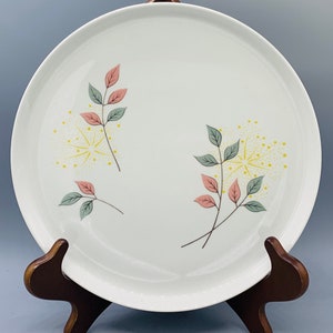 Franciscan Family China Springsong Dinner Plates Salad Plates Saucers and Cups