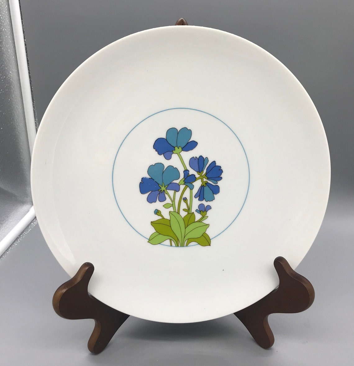 Spring Porcelain Dinnerware From Thomas Germany Division Of Etsy