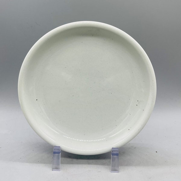 Trend Pacific Galaxy Milkstone White Salad Plates, Saucers, and Mugs Sold Individually