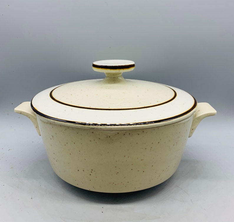 Sangos Rainbow Capri Stoneware Dinner Plates Salad Plates Etsy