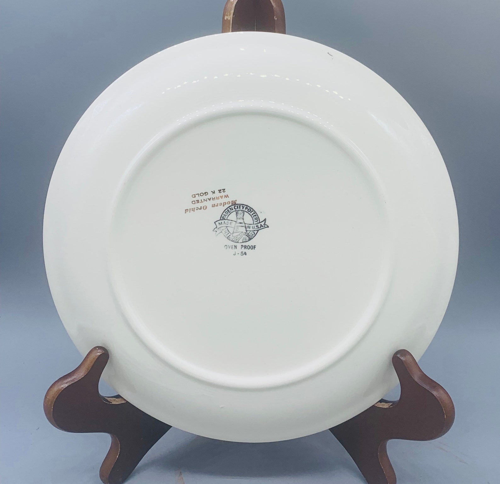 Paden City Pottery Modern Orchid Large 10 Dinner Plates 9 Etsy