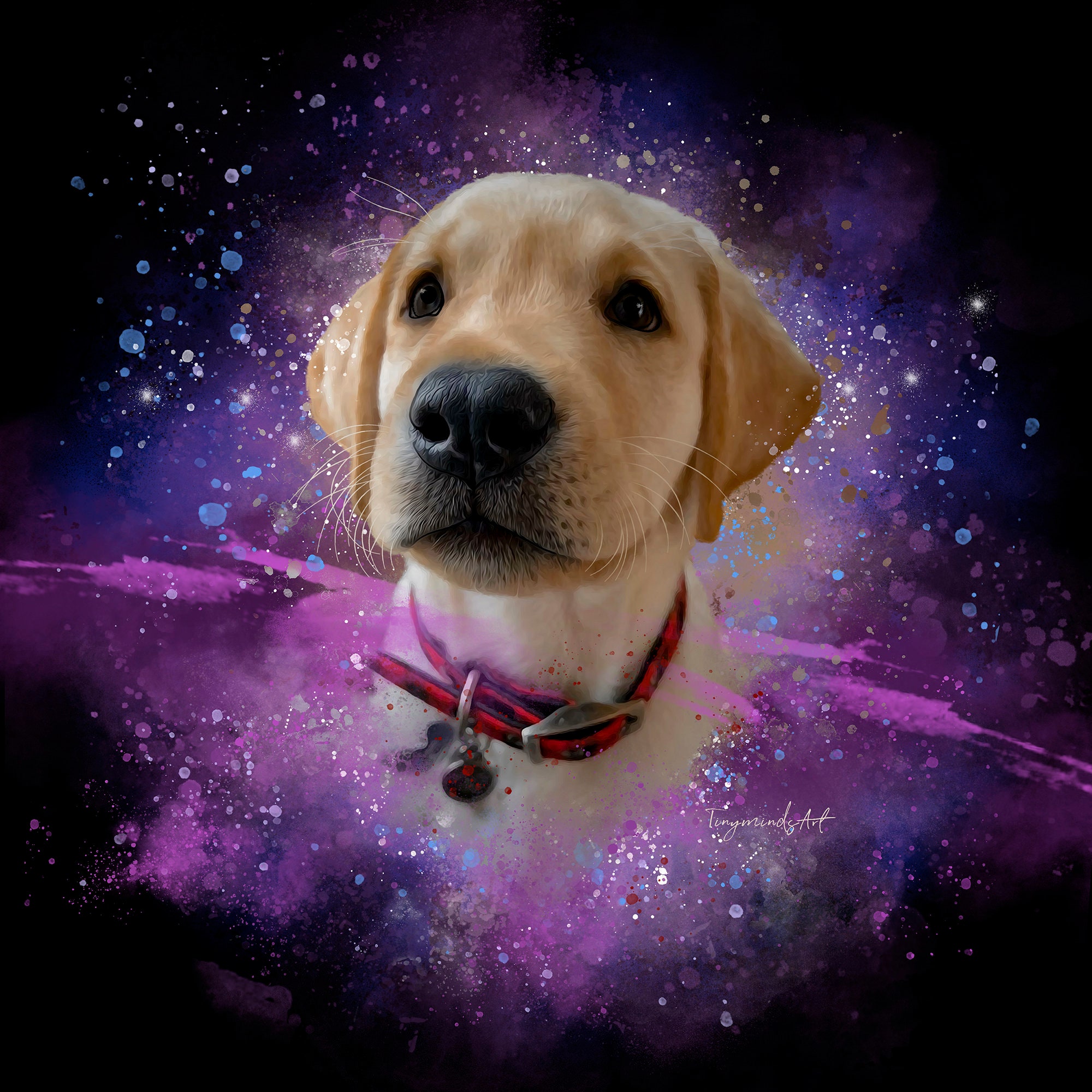 Custom Pet Portrait Galaxy Style Pet Memorial Portrait Pet Etsy UK