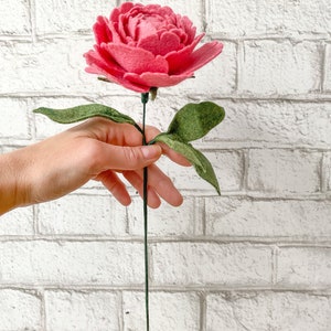 Op de afbeelding: Een handgemaakte vilten pioenroos in een levendige roze kleur. De bloem heeft meerdere lagen bloemblaadjes en is bevestigd aan een groene stengel met twee groene bladeren. De bloem wordt vastgehouden tegen een witte bakstenen muur.