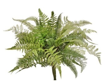 20" Natural Touch Fern Bush