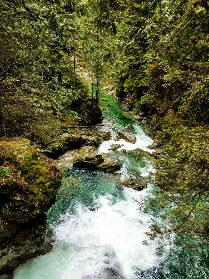 Vancouver Canada Lynn Canyon River Forest Etsy