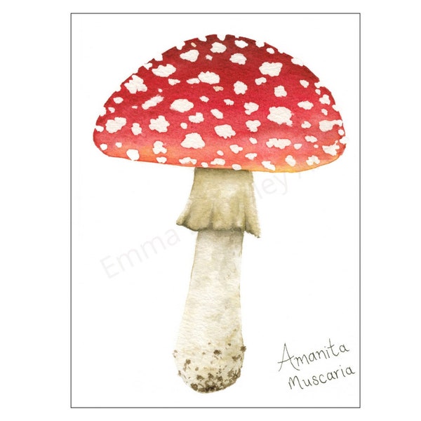 Amanita Muscaria Mushroom print, toadstool illustration, fly agaric, fungi wall art, magical mushroom, fairy mushrooms