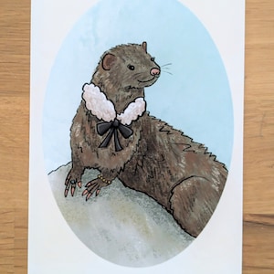 Vintage Style Mink Weasel Art Print (Print Only)