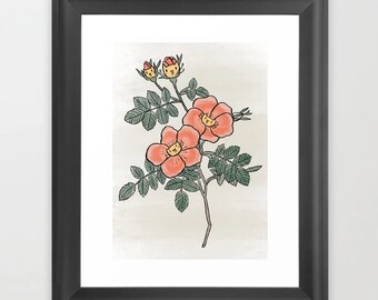 Botanical Blooms & Playful Cats Peach Art Print (Print Only)