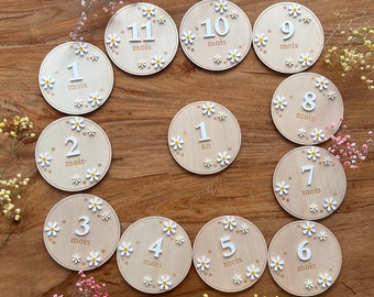 Franse houten Daisy mijlpaalkaarten set | Baby mijlpaalmarkeringen | Babyfoto prop | Cadeau-idee voor babyshower | Cadeau-idee voor pasgeborenen