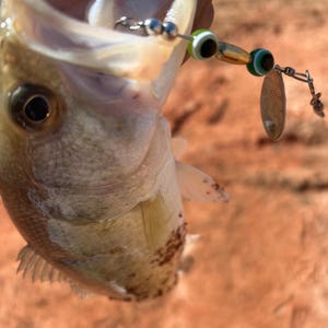 Green Inline Spinnerbait: USA Made Fishing Lure