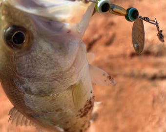 Spinnerbait vert : leurre de pêche fabriqué aux États-Unis