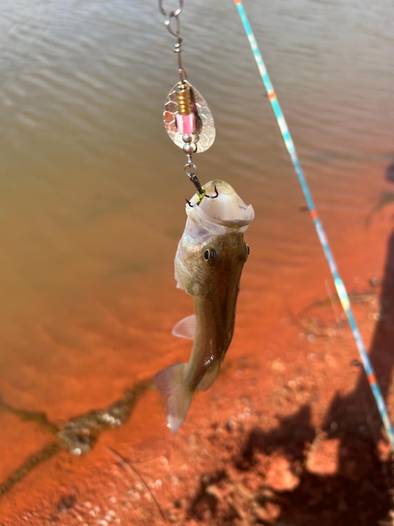 colorado fishing treble hook Lazer Sharp 4X Straight Point Hooks Ryugis flagship treble option 8527 Fishfighter Treble | VMC