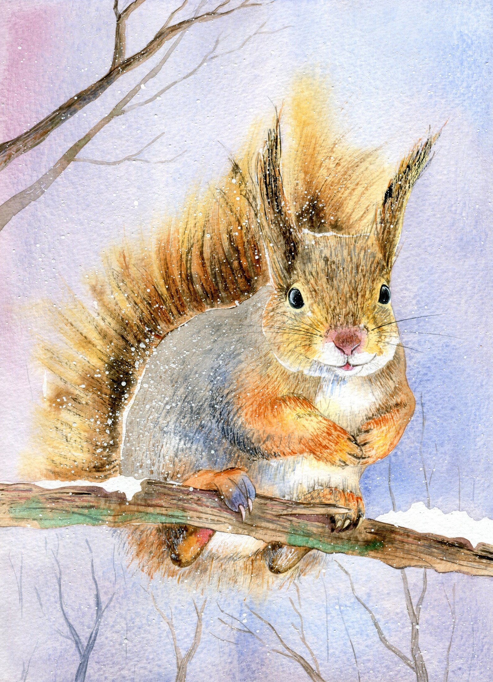 Squirrel. Squirrel watercolor. Squirrel painting. Squirrel Etsy